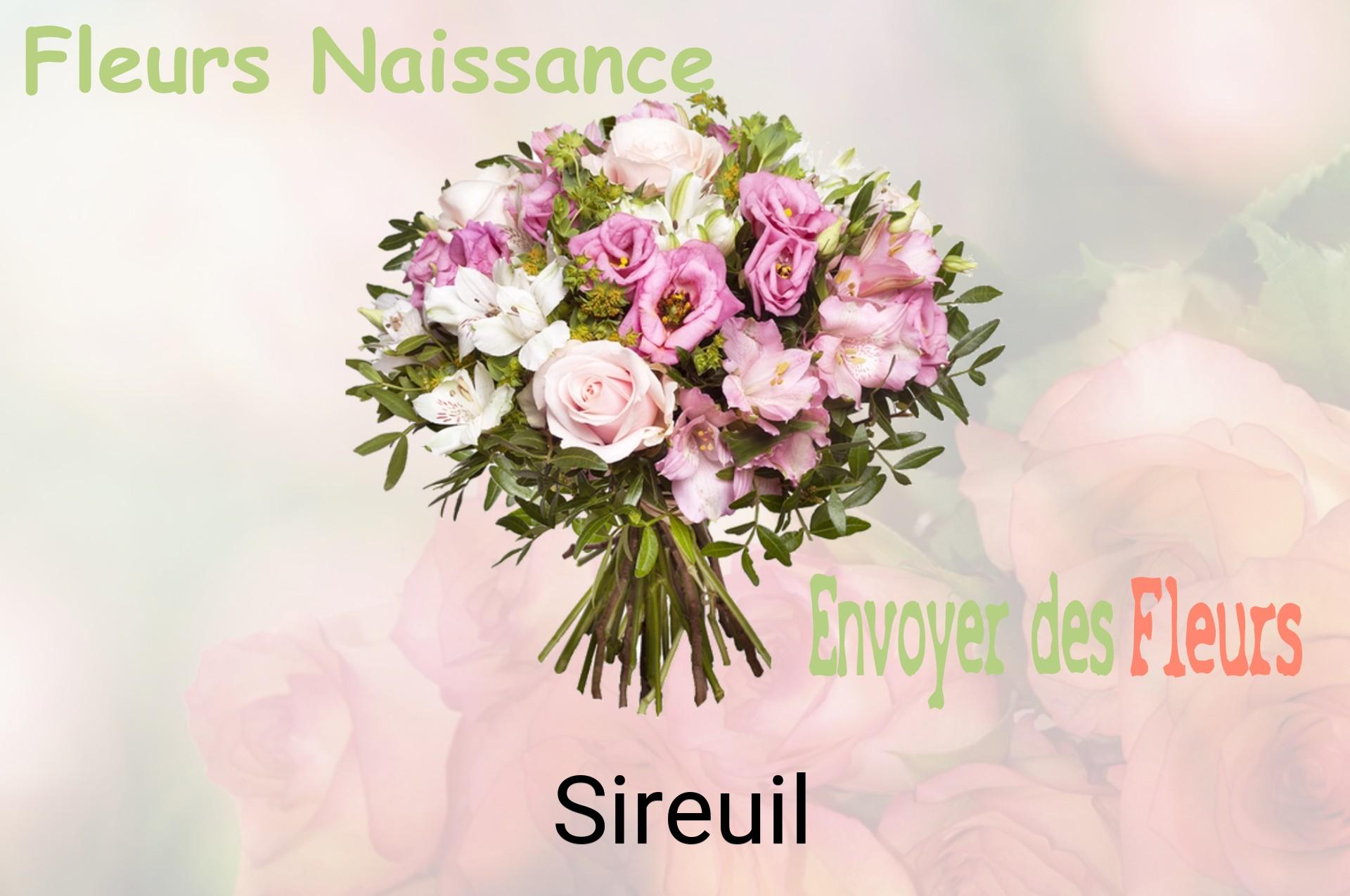 Bouquet de fleurs de naissance livré à Sireuil